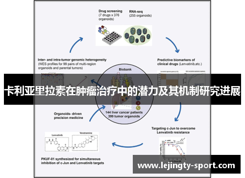 卡利亚里拉素在肿瘤治疗中的潜力及其机制研究进展